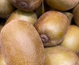 Kiwi verde